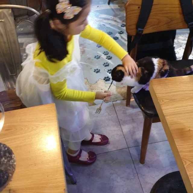 오뉴에미
