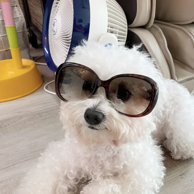 국희