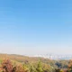 베짱이