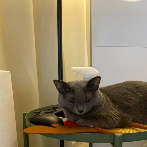 지누쓰
