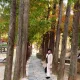 초이