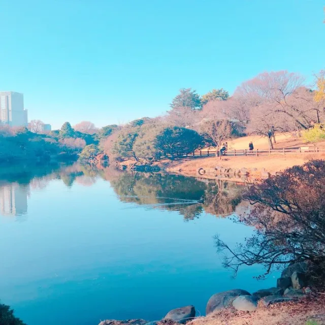 세근네근당근