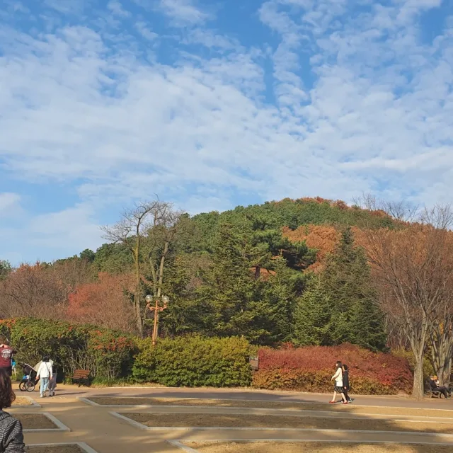 레이써