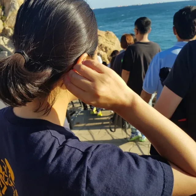 당근당근