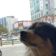 길구