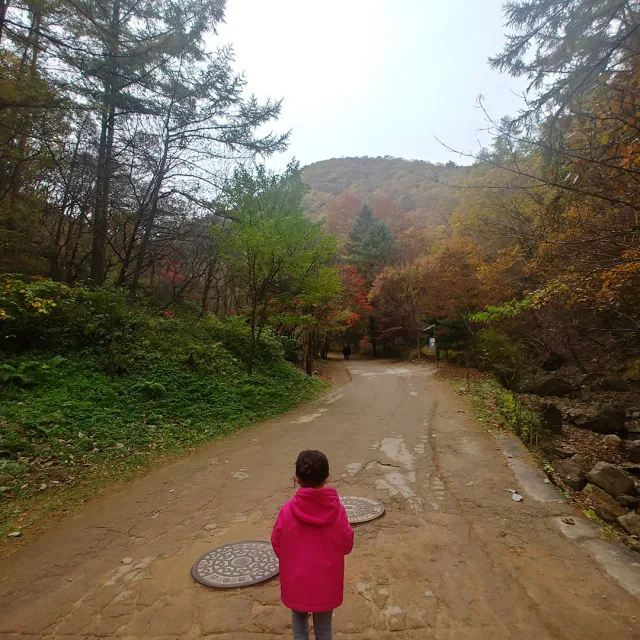 뽀빠이요