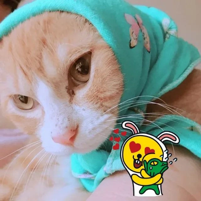 문시기네