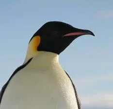 펭귄
