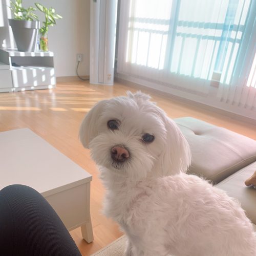 운양동이편하다세상