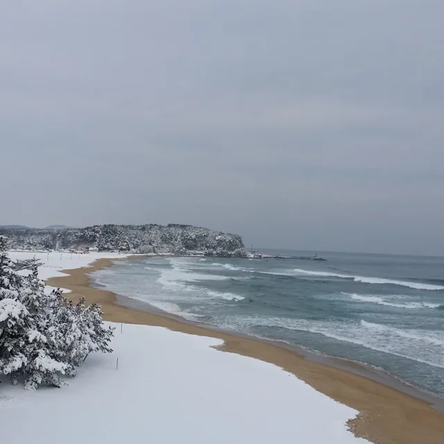 인자요산