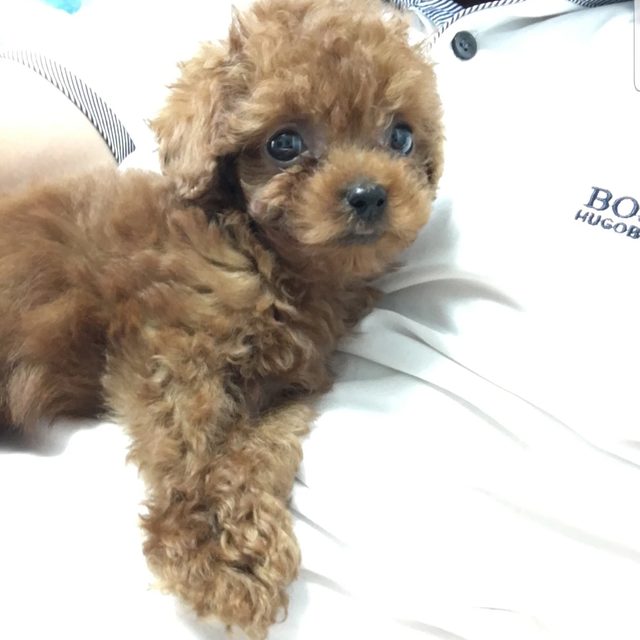 리뷰 프로필 이미지