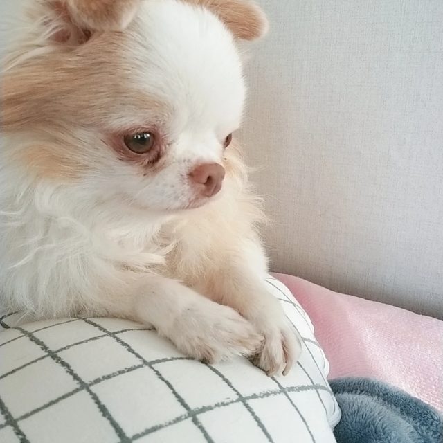 쉐인쌤