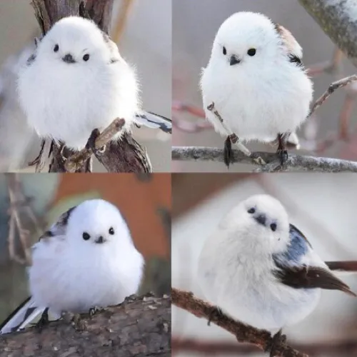 키보드요정