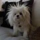 여니