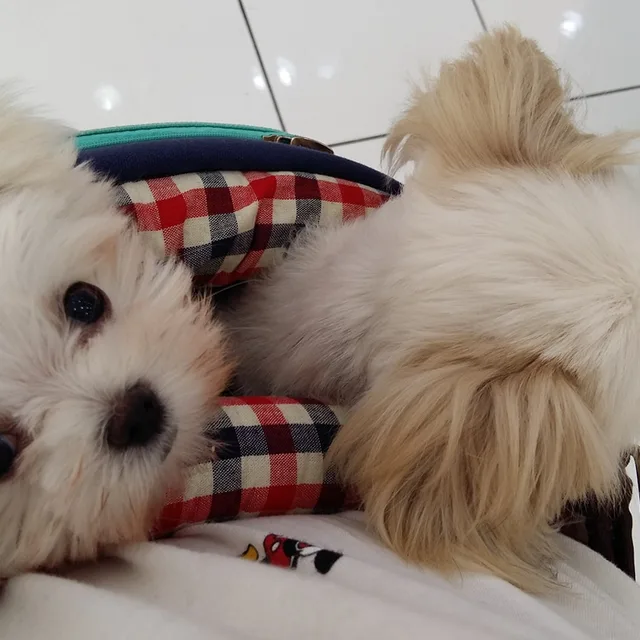 문덕배