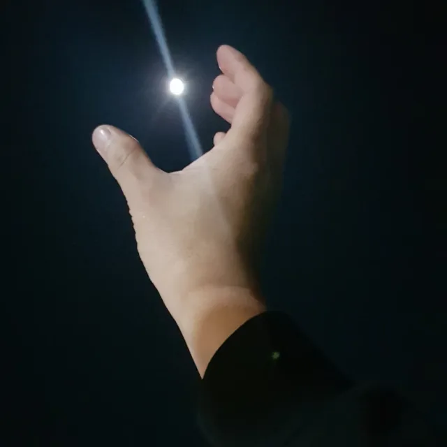 o라파엘o