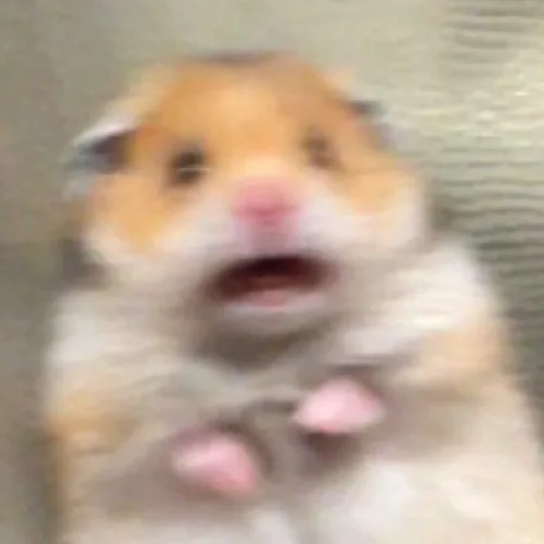아이폰