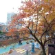 바람