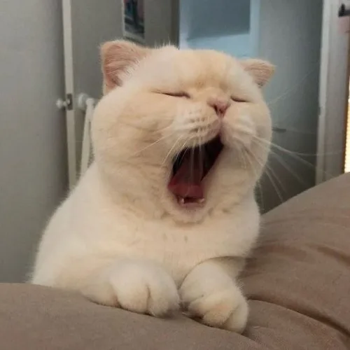 갱갱갱