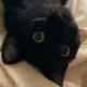 몰룽