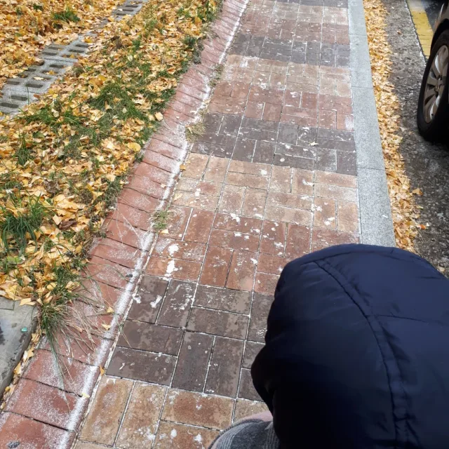 당근먹는토끼