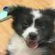 구구