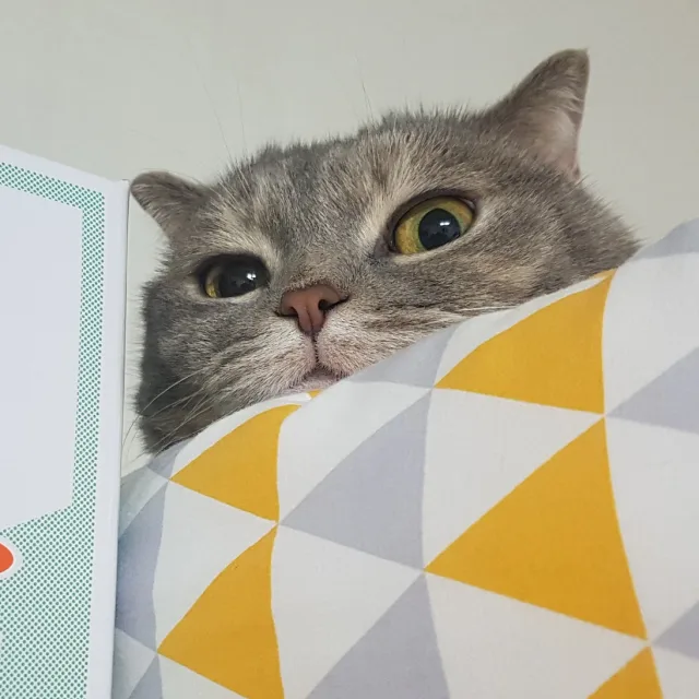 랑랑이