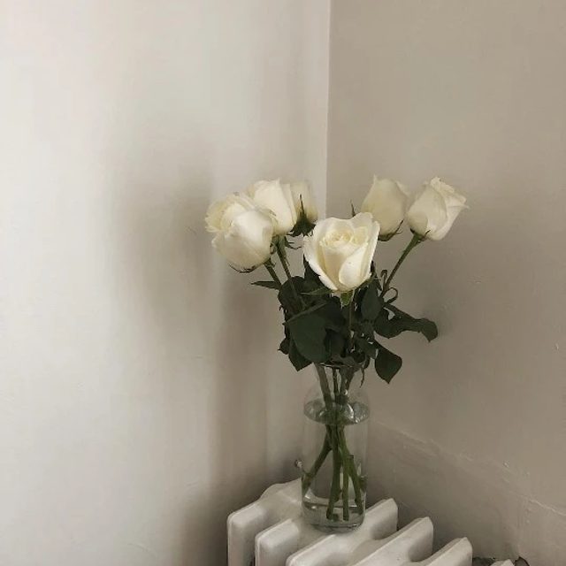 패리스힐튼