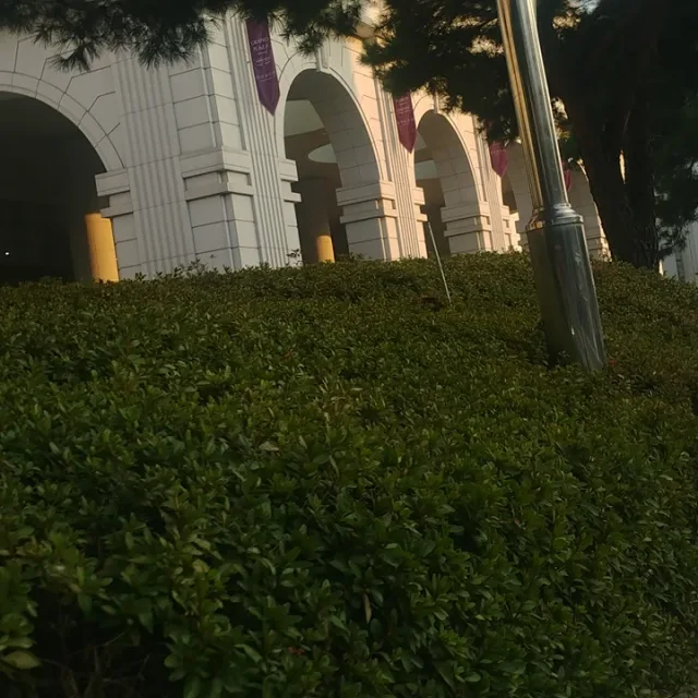 썬썬