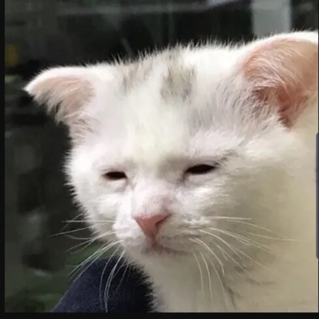 답장좀주세요