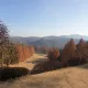 웃긴당근