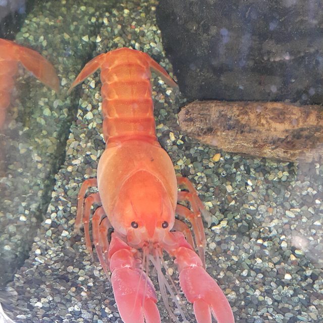 워시엔조이동백점