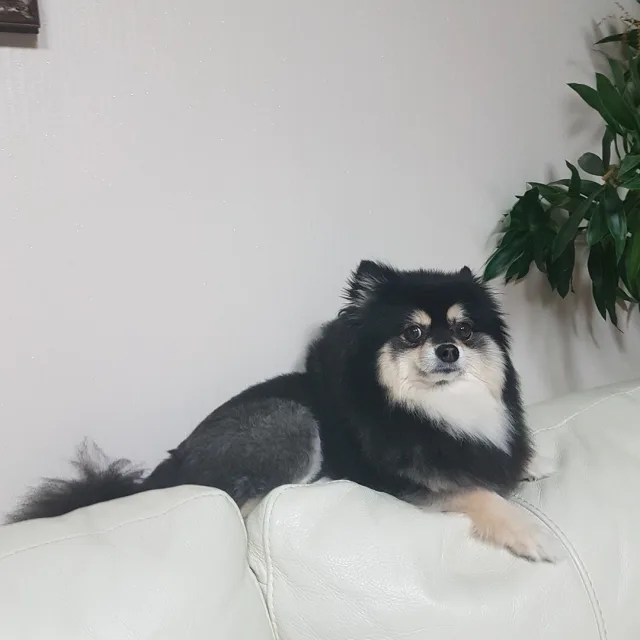 한약방