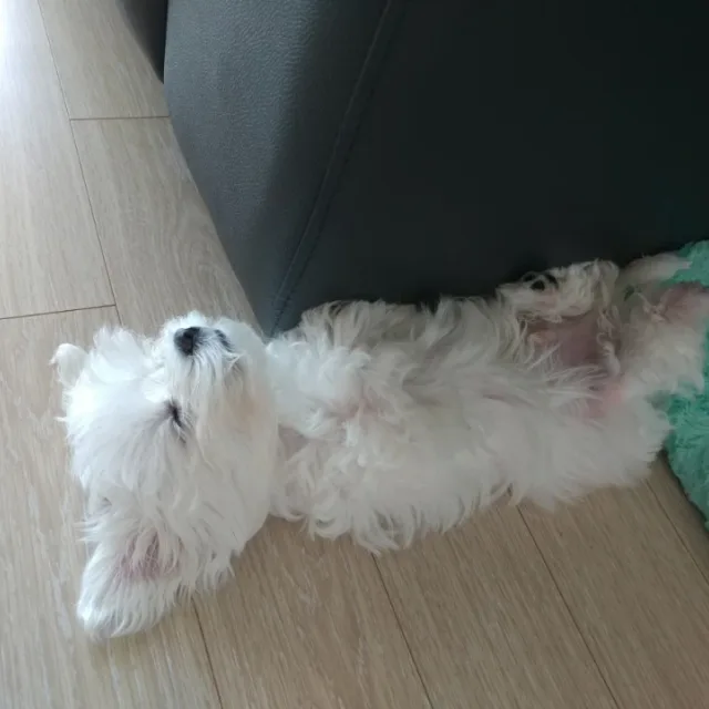 오월이
