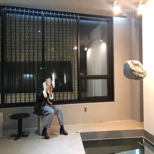 예민한고라니