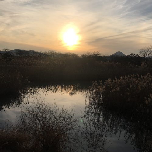 짱짱