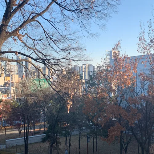 늦잠잘거야