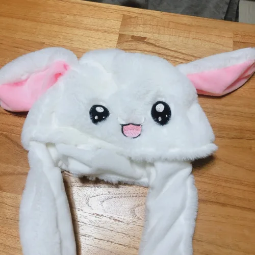 평촌공작러