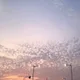 우드킴