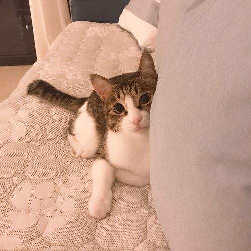 리뷰 프로필 이미지
