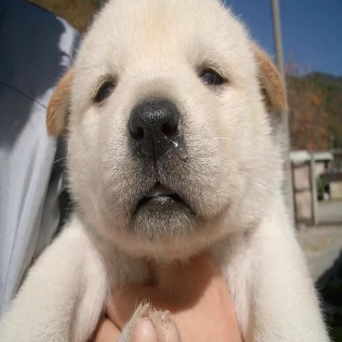 승여이