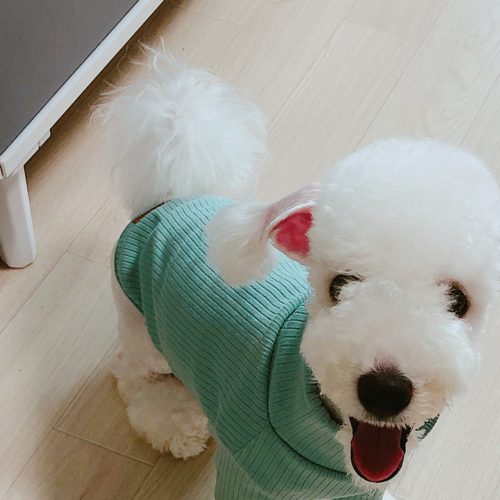 다올맘