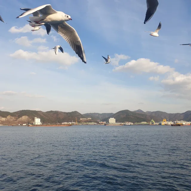 뮤직카