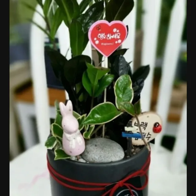 지야05