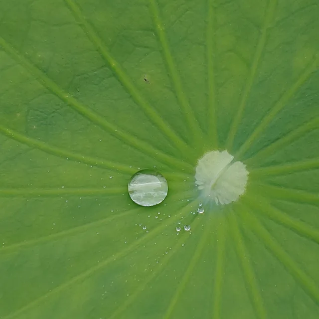무아