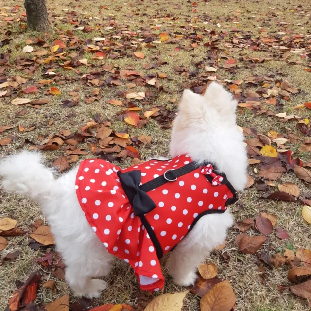 은비맘