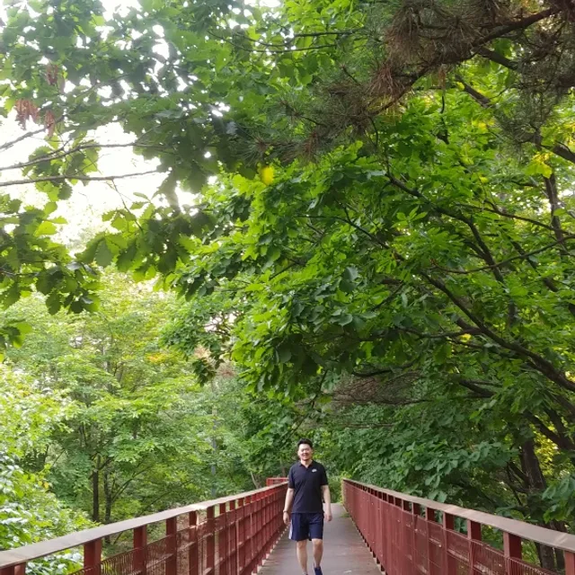 양태호
