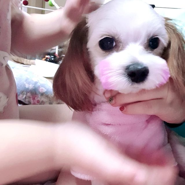 커비