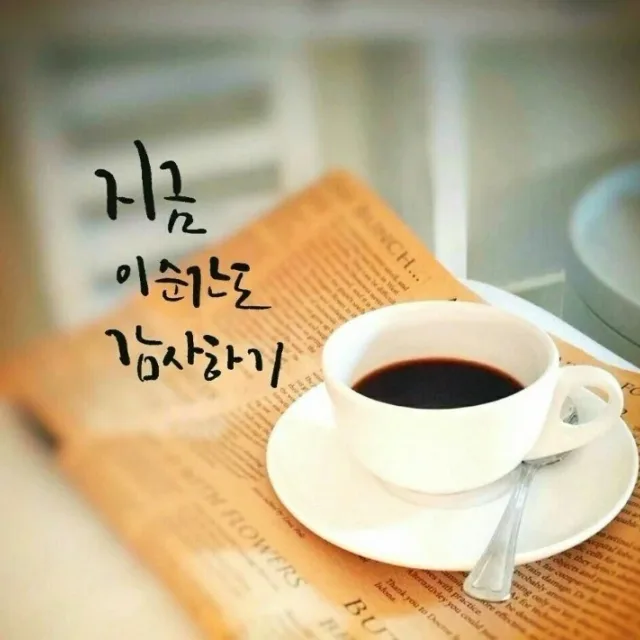 수잔