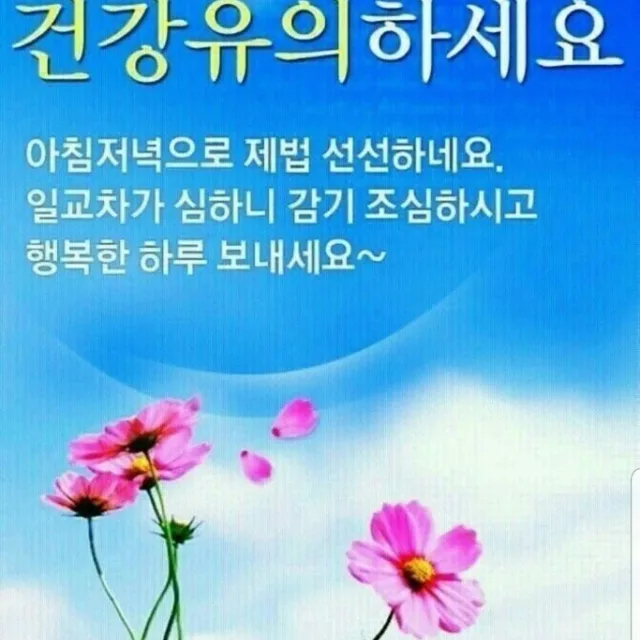금이야옥이야